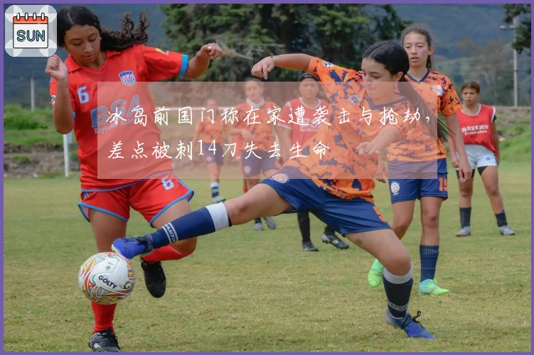 冰岛前国门称在家遭袭击与抢劫，差点被刺14刀失去生命