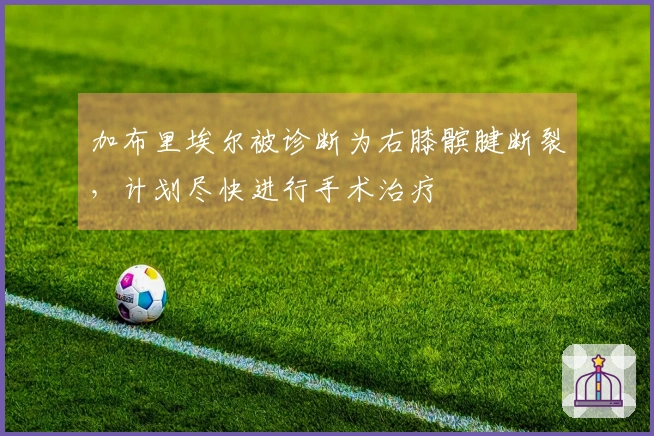 加布里埃尔被诊断为右膝髌腱断裂，计划尽快进行手术治疗
